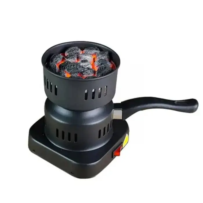 Charcoal electric fryer